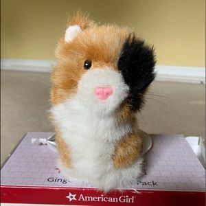 American Girl Doll Cat Ginger